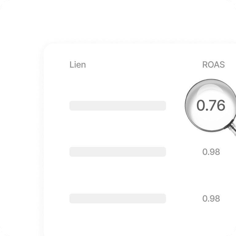 roas-asset